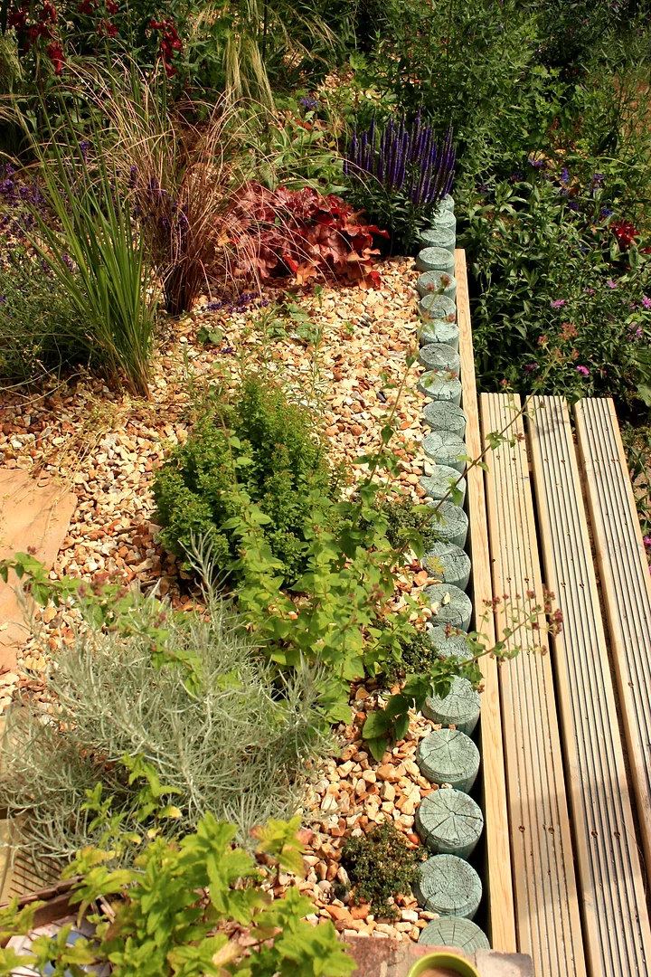 Newly planted low-maintenance border establishing beside a timber deck, mulched with gravel