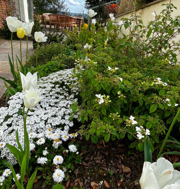 A gallery image of a garden design