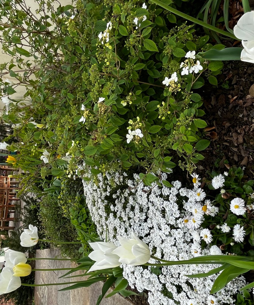 Garden Design in Cheltenham