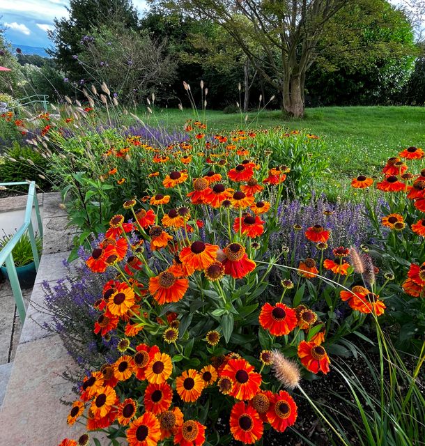 A gallery image of a garden design