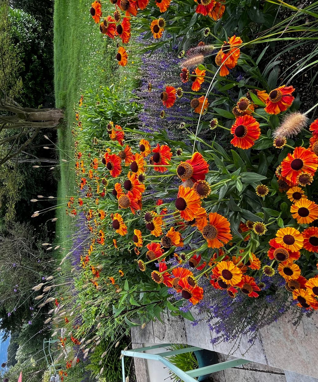Garden Design in Gloucestershire