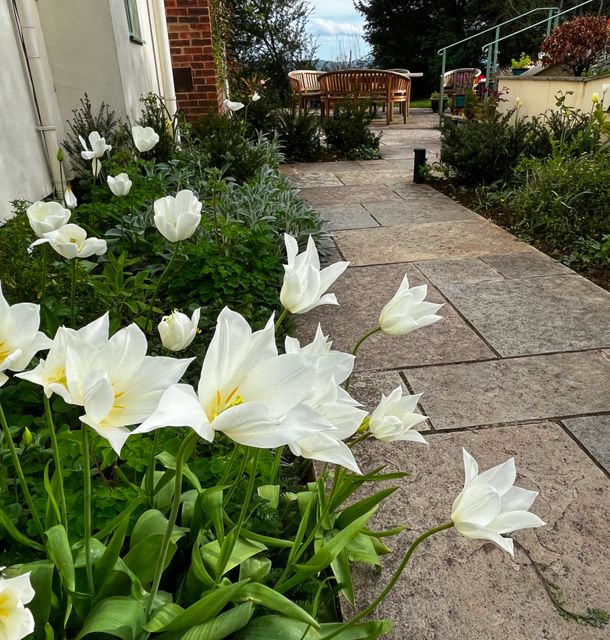 A gallery image of a garden design