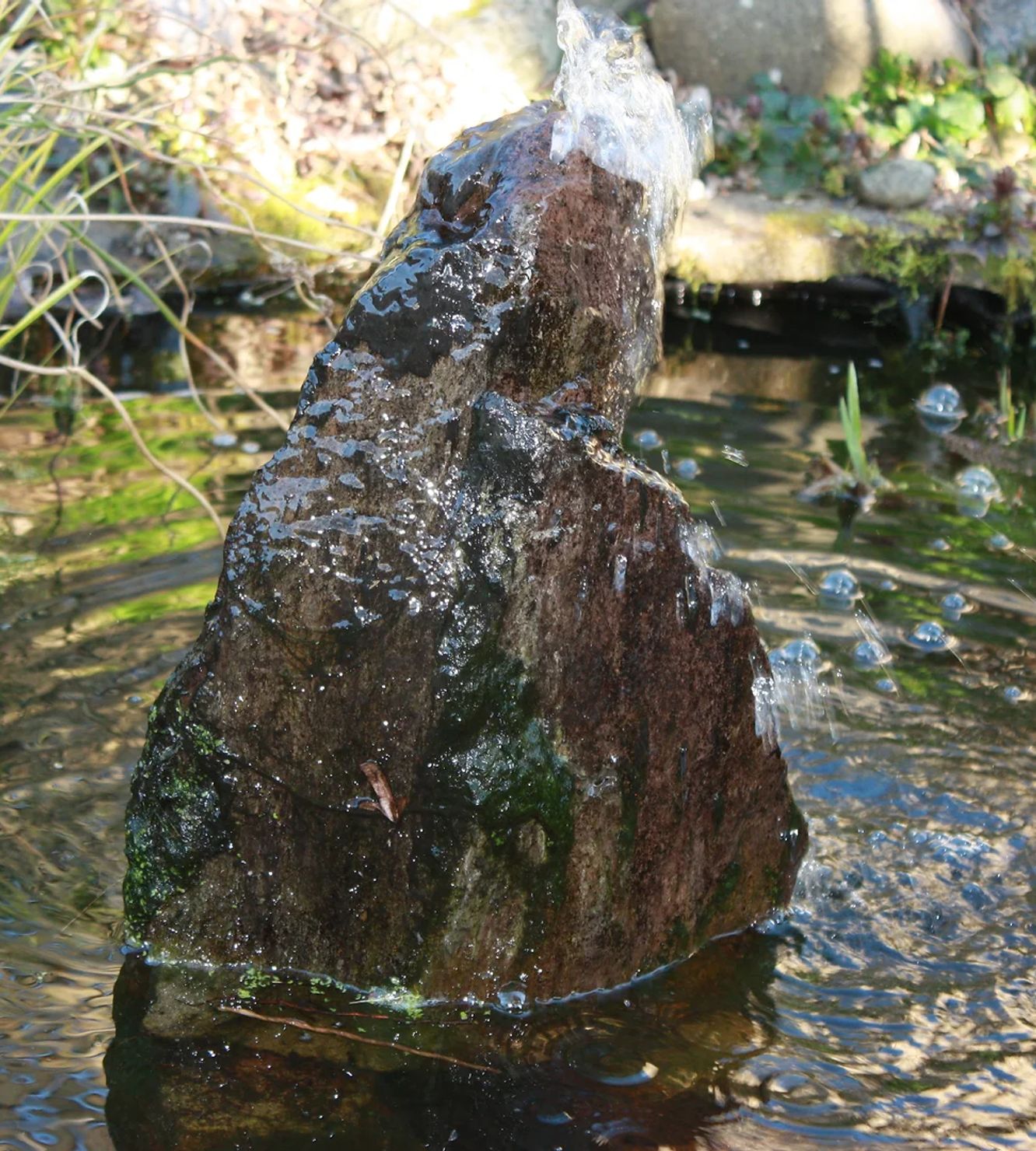 a rock lies in a beautifully-decorated garden pond